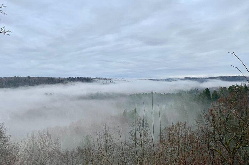 Un paysage brumeux, avec des arbres et un horizon lointain. 4