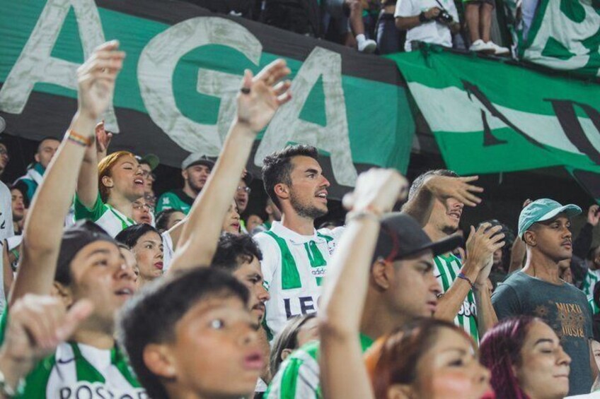 A crowd of people at a sporting event, some wearing green and white striped jerseys. 1