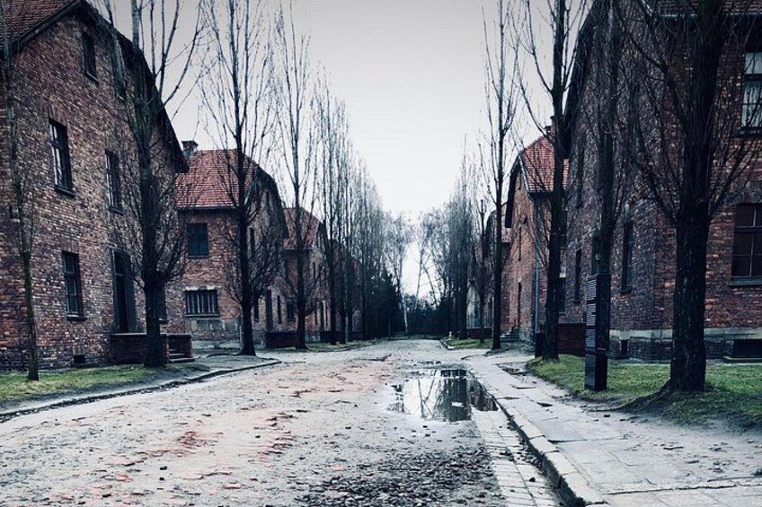 A brick building with a red roof, a paved road, and bare trees lining the street. 4