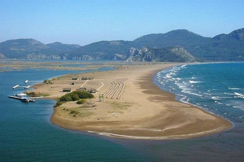 marmaris & icmeler dalyan turtle beach 5