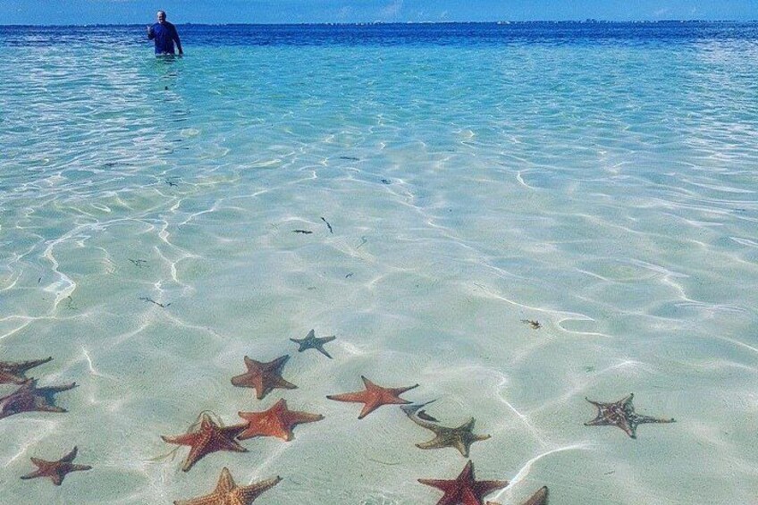 Un mar azul y transparente, con estrellas de mar en la arena y una persona en el agua. 2
