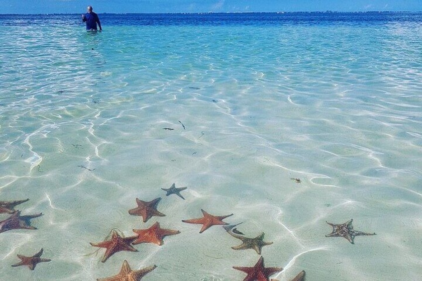 Stingray City Grand Cayman tour from The Kimpton