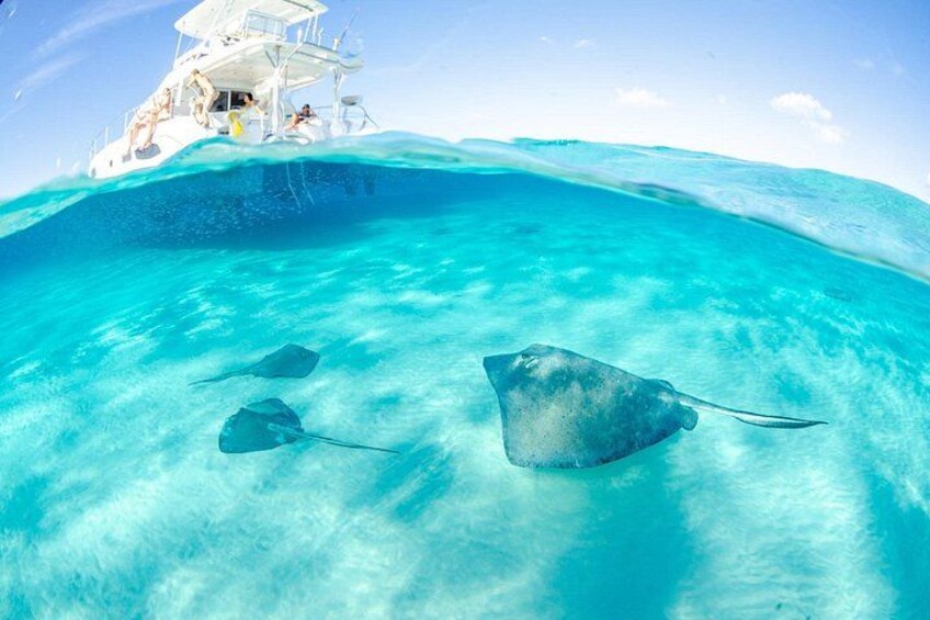 Un bote con gente en un mar turquesa, dos mantarrayas nadando y agua cristalina. 1