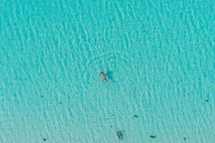 Cayman Adventure: Starfish Point, Stingray City and Coral Gardens