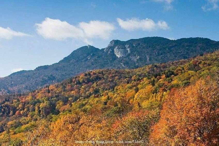 Downtown Asheville & Biltmore Village: Private Full-Day Tour 2