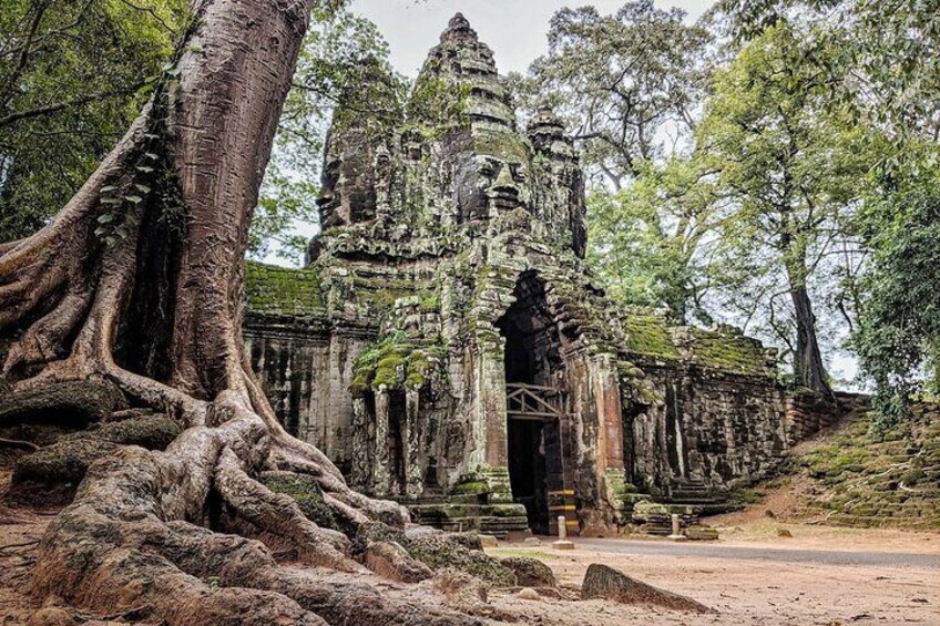 A temple with large roots and a stone staircase leading up to it. 4