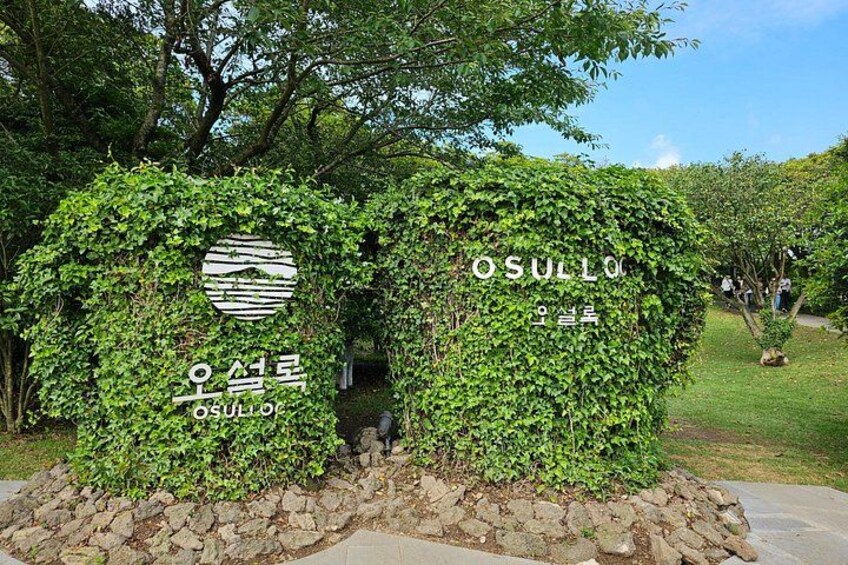 Full-Day Private South and West of Jeju Island Taxi Tour 3