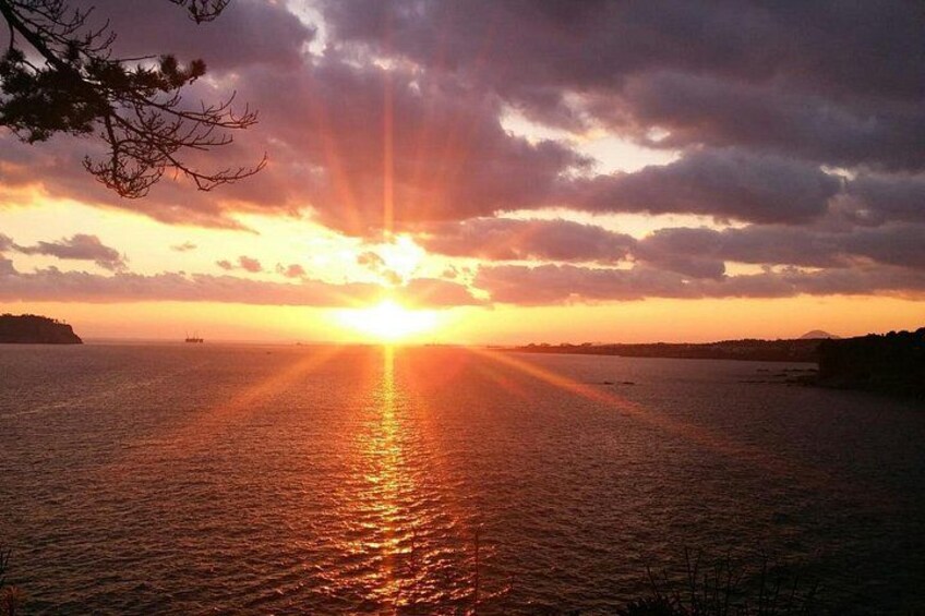 Full-Day Private South and West of Jeju Island Taxi Tour 1