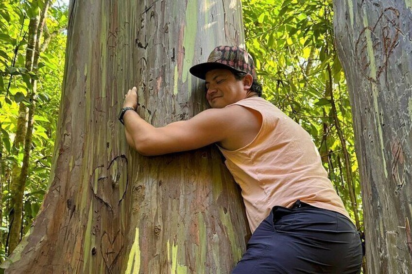 Private Half-Day Road To Hana Highlights Tour 2