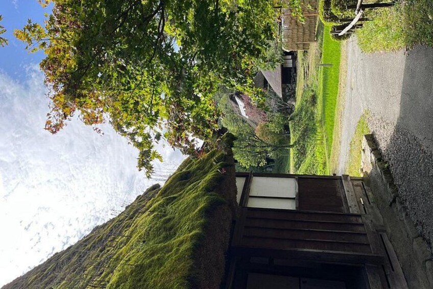 A residential area with a house, a paved driveway, and a grassy lawn. 4