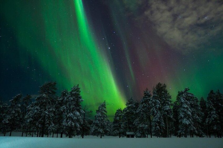 Northern Lights Rovaniemi: Guaranteed Viewing & Unlimited Mileage 4