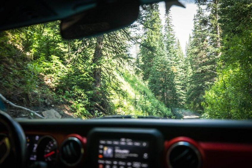 Private Jeep Tour in Vail – You Drive, We Guide 2