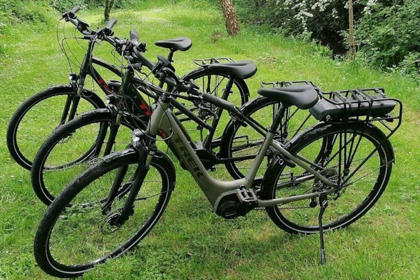 Een mountainbike met een mandje vooraan en bagagedrager achter, geparkeerd op het gras. 3