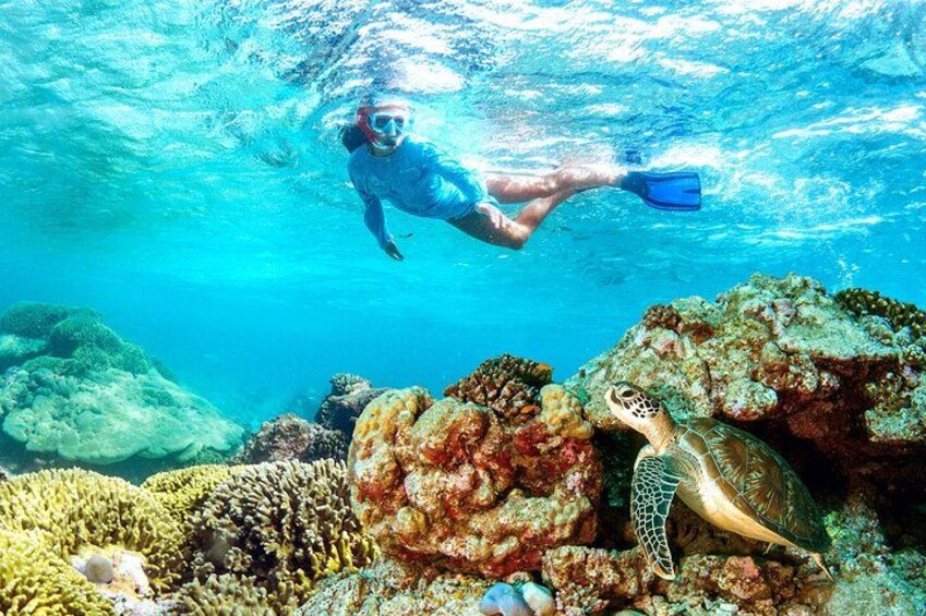 A diver swimming underwater with a sea turtle nearby. 2