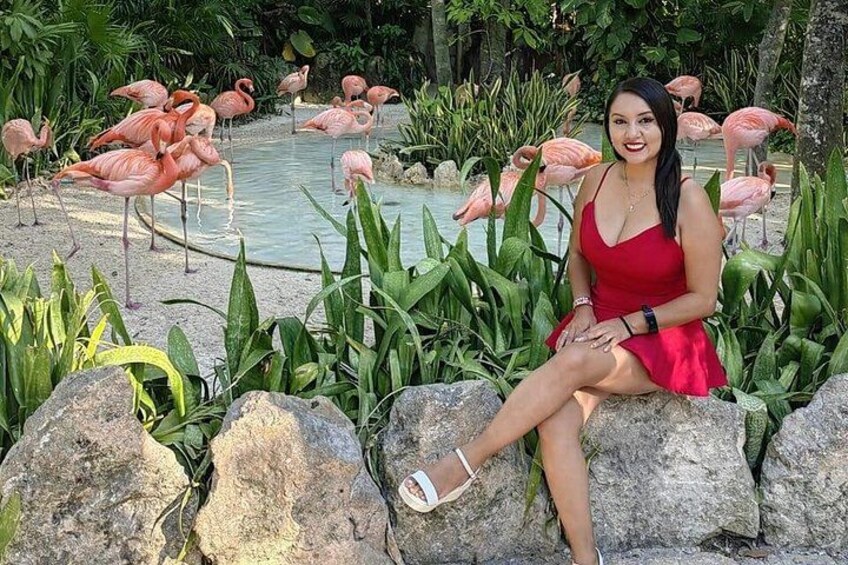 Xcaret Natural and Ecological Park with Buffet and Night Show 4