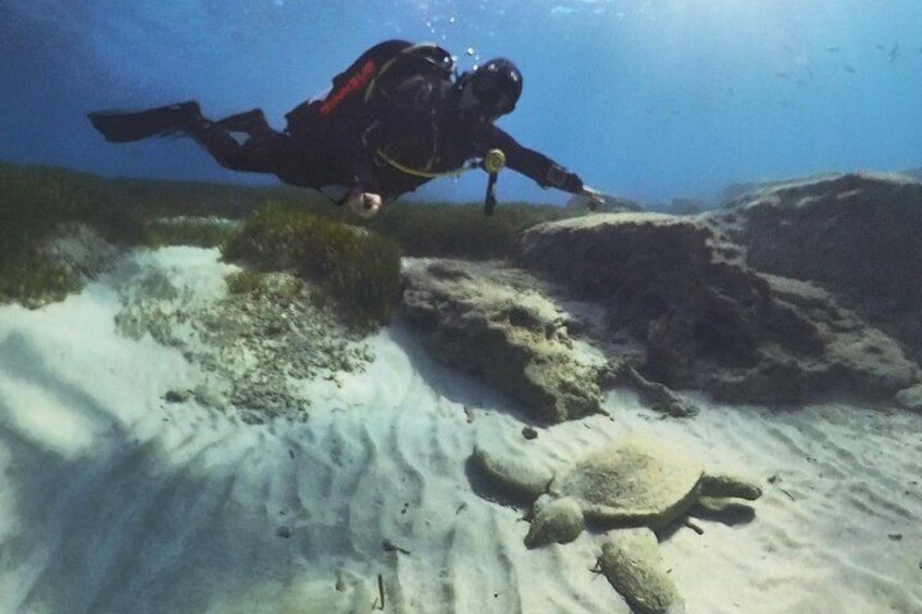 Cyprus: Private Scuba Diving Experience – No Certification Needed 3