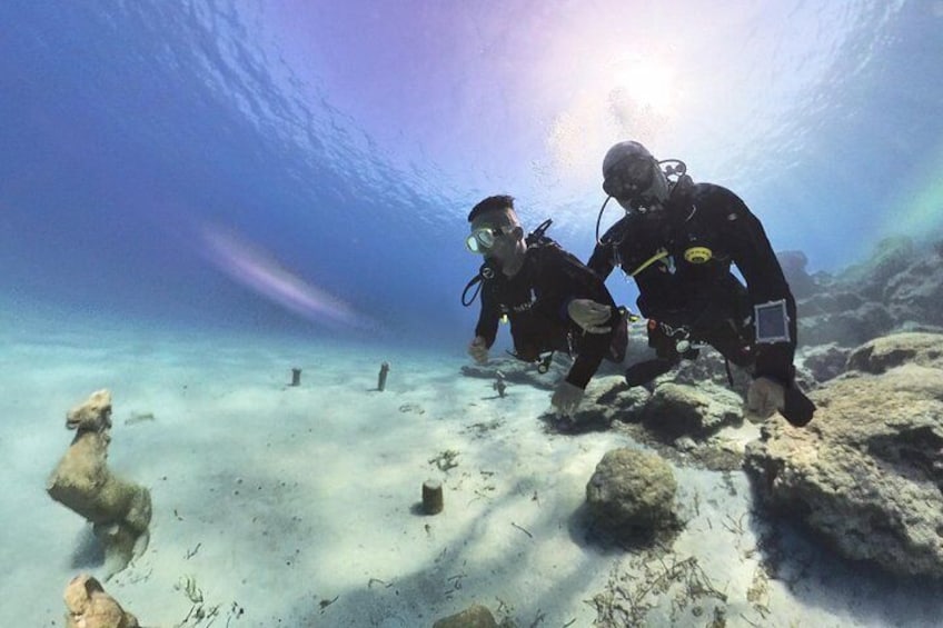 Cyprus: Private Scuba Diving Experience – No Certification Needed 4