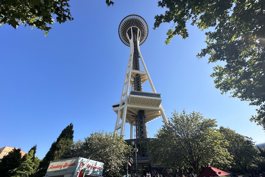 A tall tower with a circular observation deck, surrounded by trees and buildings. 5