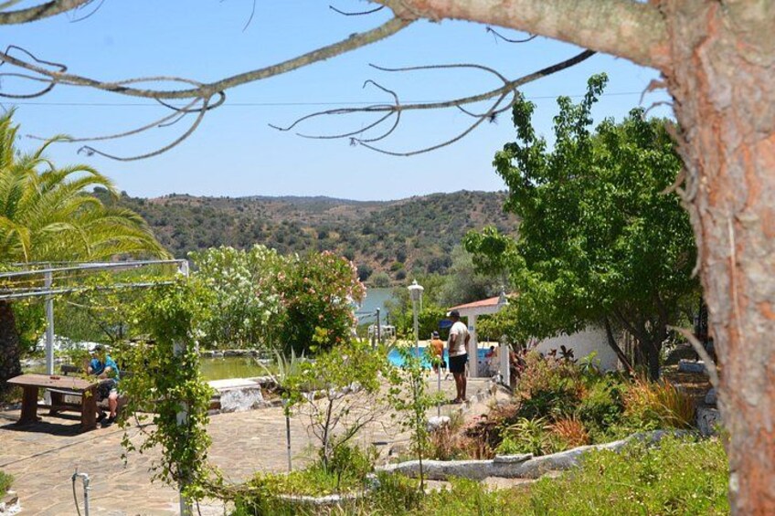 Un parc avec une piscine, des arbres et une colline en arrière-plan. 2
