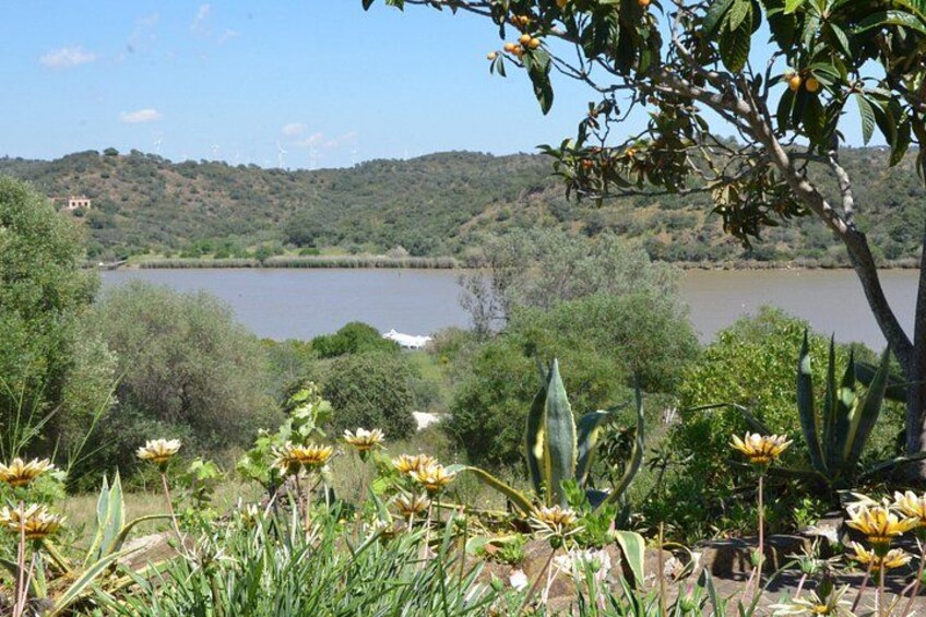 Un lago circondato da vegetazione e una collina sullo sfondo. 2