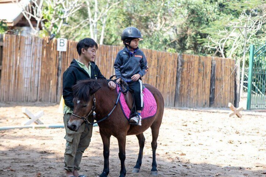 Pony Riding in Luang Prabang