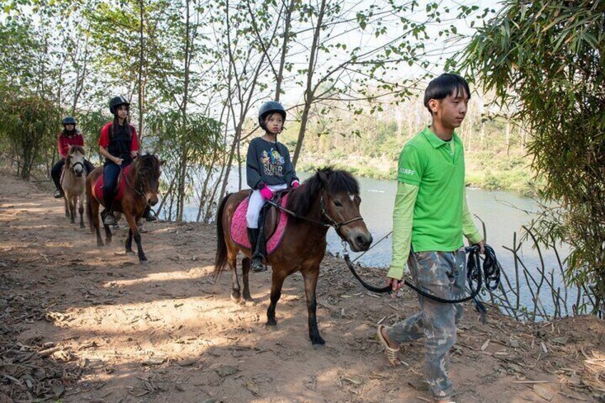 Pony Riding in Luang Prabang