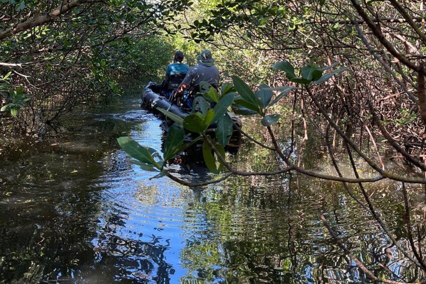 Amazed at being the only people around in our secluded mangrove jungle. 5