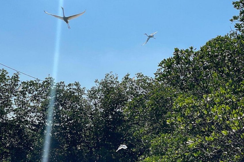 A bird in flight, a bird in flight, and a bird in flight. 3
