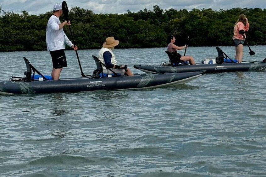 Traversing the lagoon from the mangrove jungle to the dolphin watch sandbar.