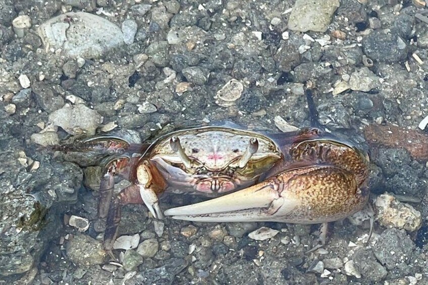If you come any closer….smile for the picture. 4