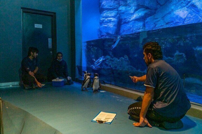 Oman Aquarium - Admission Ticket