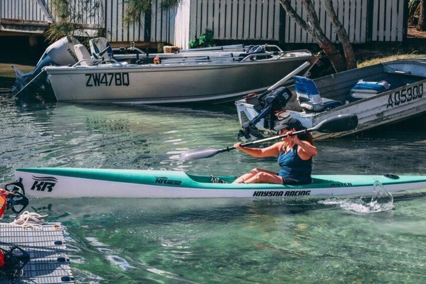 Mangroves and Mansions Guided Kayak Tour on the Noosa River 2
