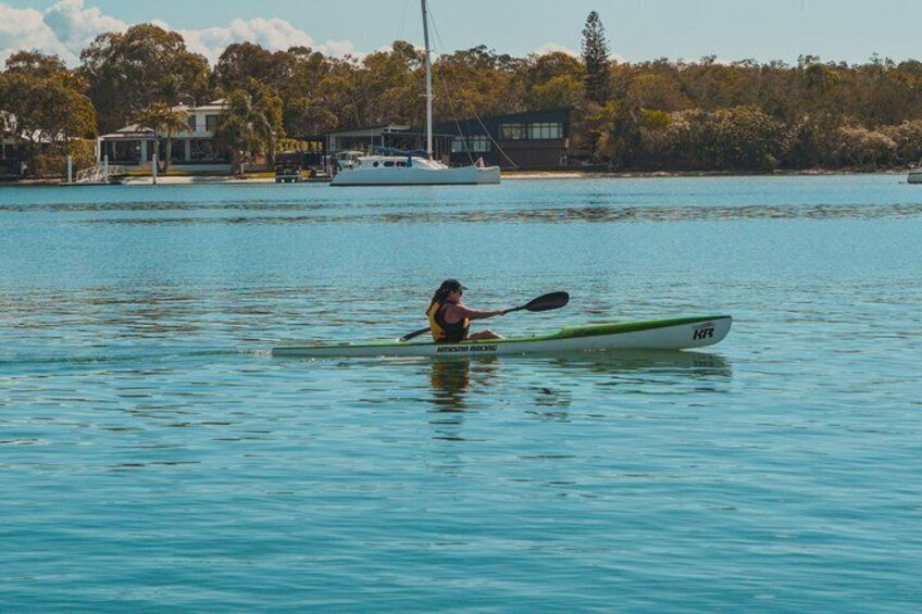Mangroves and Mansions Guided Kayak Tour on the Noosa River 3