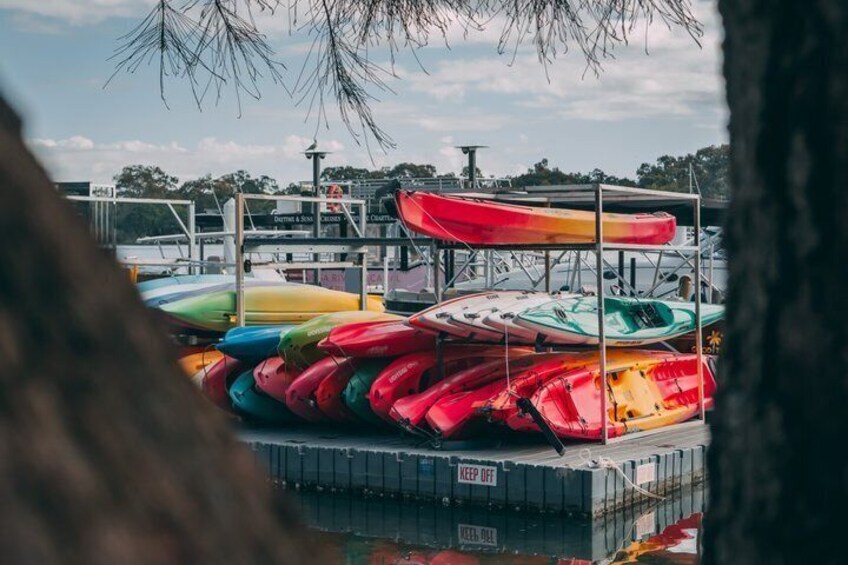 Mangroves and Mansions Guided Kayak Tour on the Noosa River 5