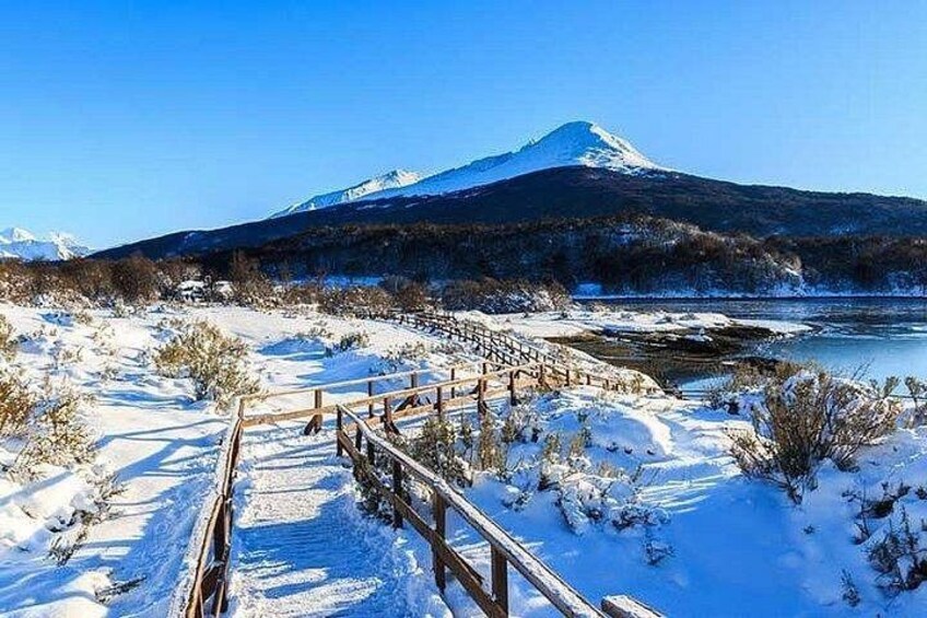 Tierra del Fuego National Park & End of the World Train Tour 1