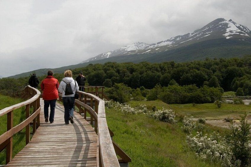 Tierra del Fuego National Park & End of the World Train Tour 2