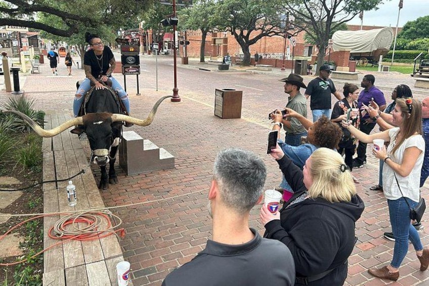 A person riding a bull with large horns, surrounded by a crowd of people taking photos. 5