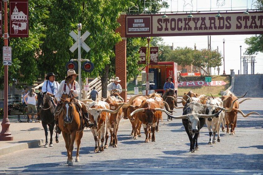 Una sfilata di strada con persone a cavallo e bestiame. 3