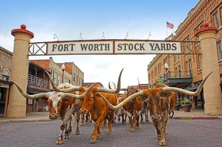 Fort Worth Stockyards Foodie Tour by Food Tours of America 5
