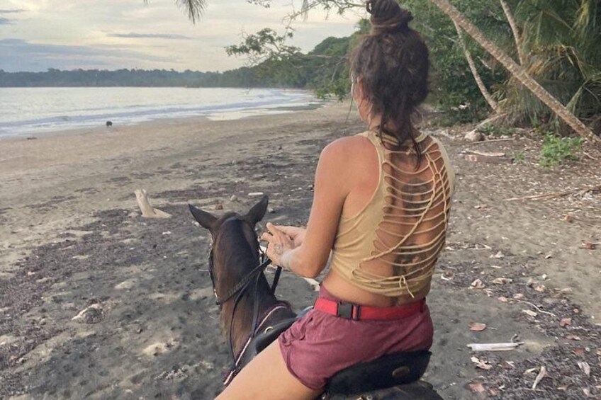 2 Hour Beach Horse Back Riding in Puerto Viejo 3