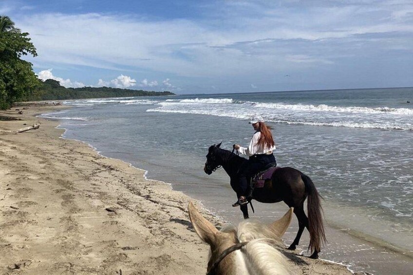 2 Hour Beach Horse Back Riding in Puerto Viejo 5