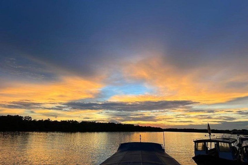 Fireflies & Silver leaf monkey Gazing tour 2