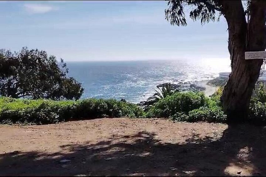 Paesaggio costiero con un sentiero sterrato, un albero e l'oceano sullo sfondo. 4