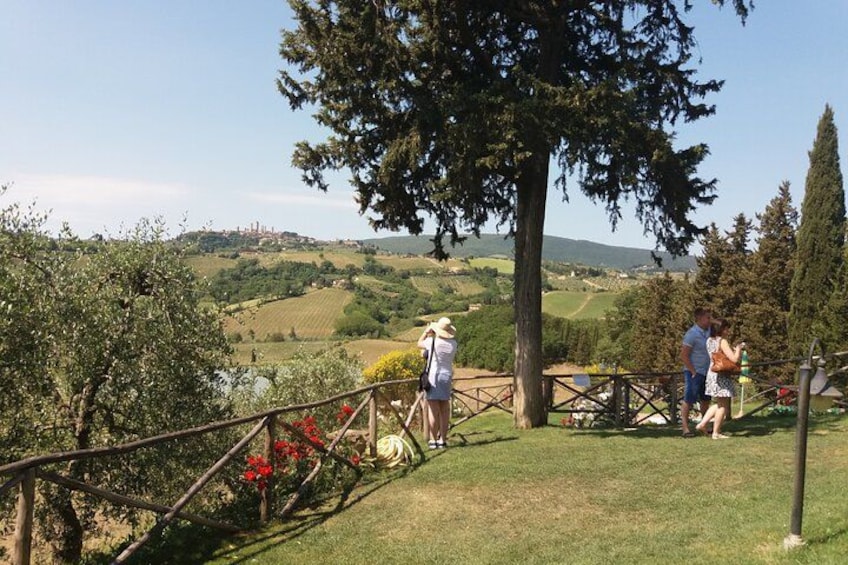 Private Tour in San Gimignano and Chianti Day Trip from Florence 2