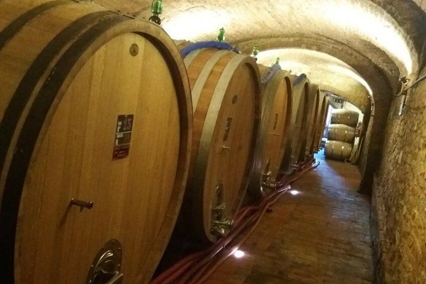 Private Tour in San Gimignano and Chianti Day Trip from Florence 5