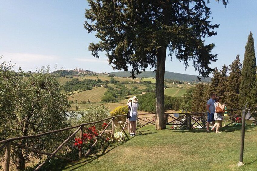 Private Tour in San Gimignano and Chianti Day Trip from Florence 2