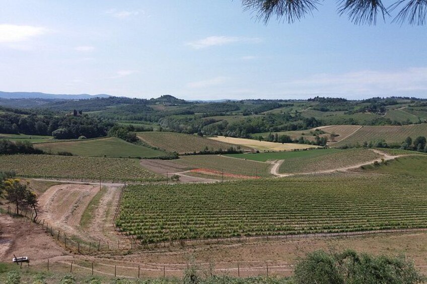 Private Tour in San Gimignano and Chianti Day Trip from Florence 4