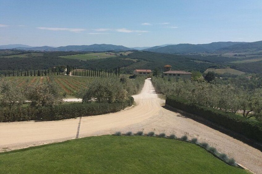 Private Tour in San Gimignano and Chianti Day Trip from Florence 3