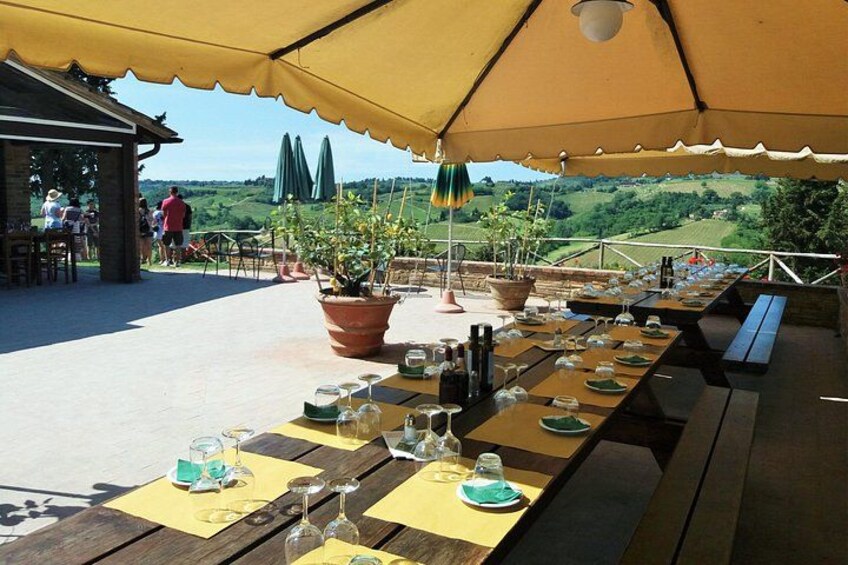 Private Tour in San Gimignano and Chianti Day Trip from Florence 2