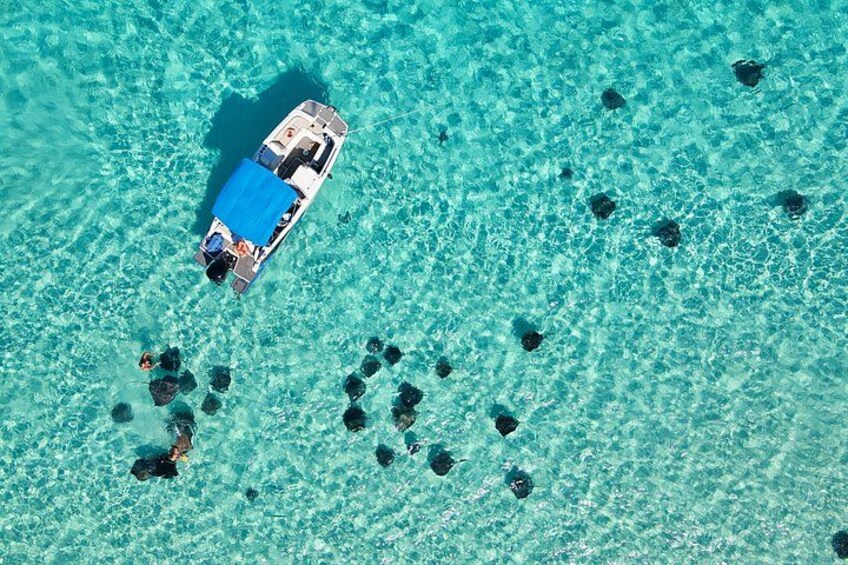 Sunrise at Stingray City, Private Tour 1